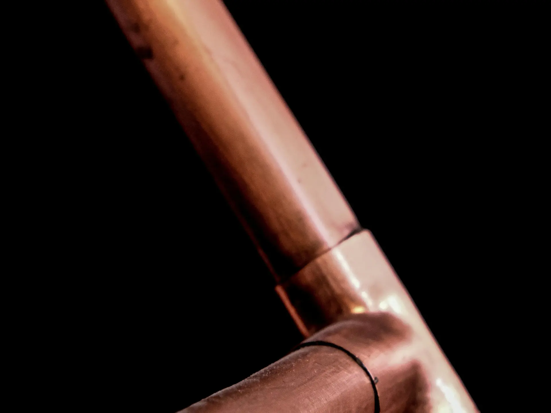 pexels-magda-ehlers-pexels-3721272