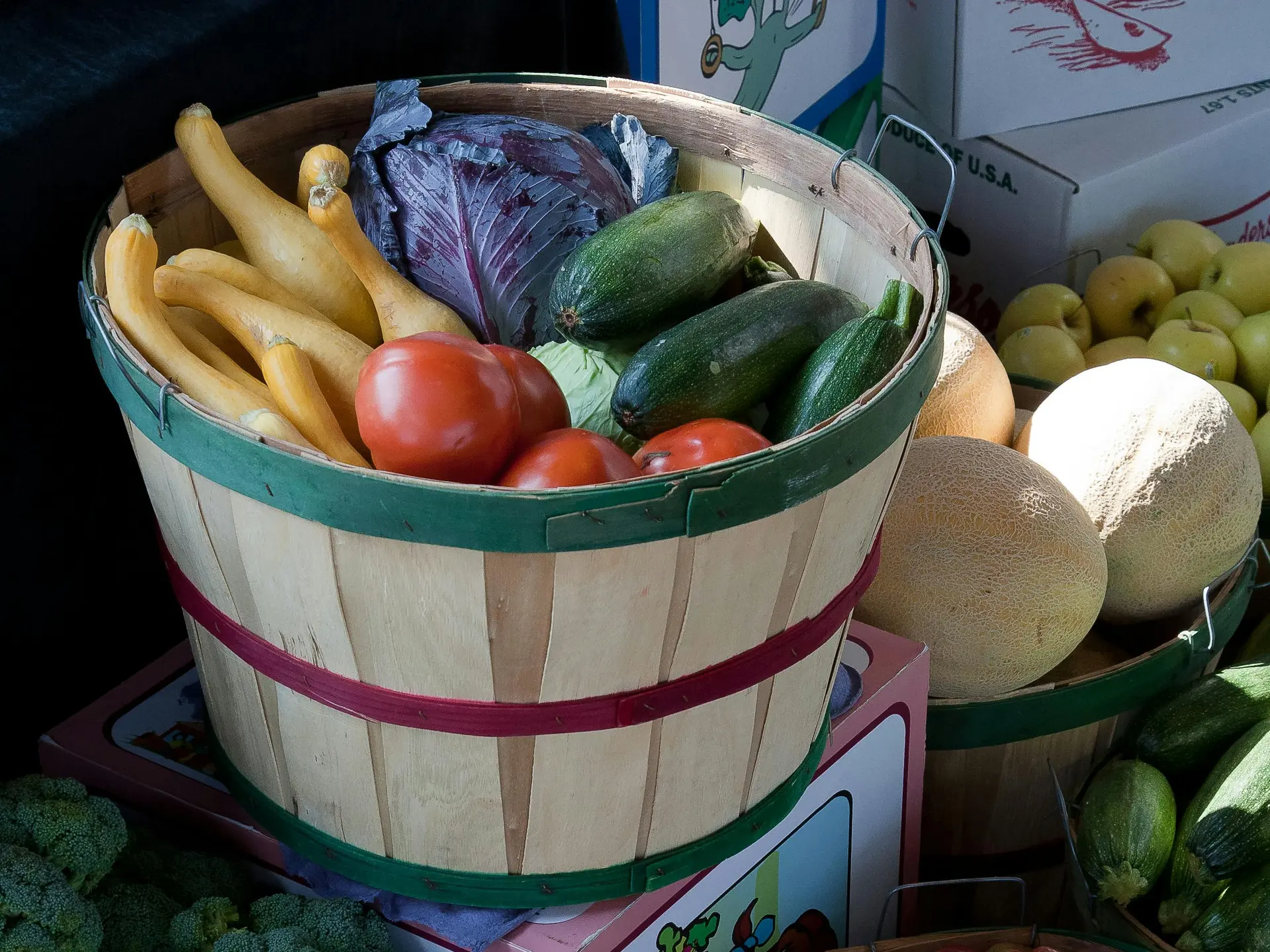 pexels-nc-farm-bureau-mark-2255920