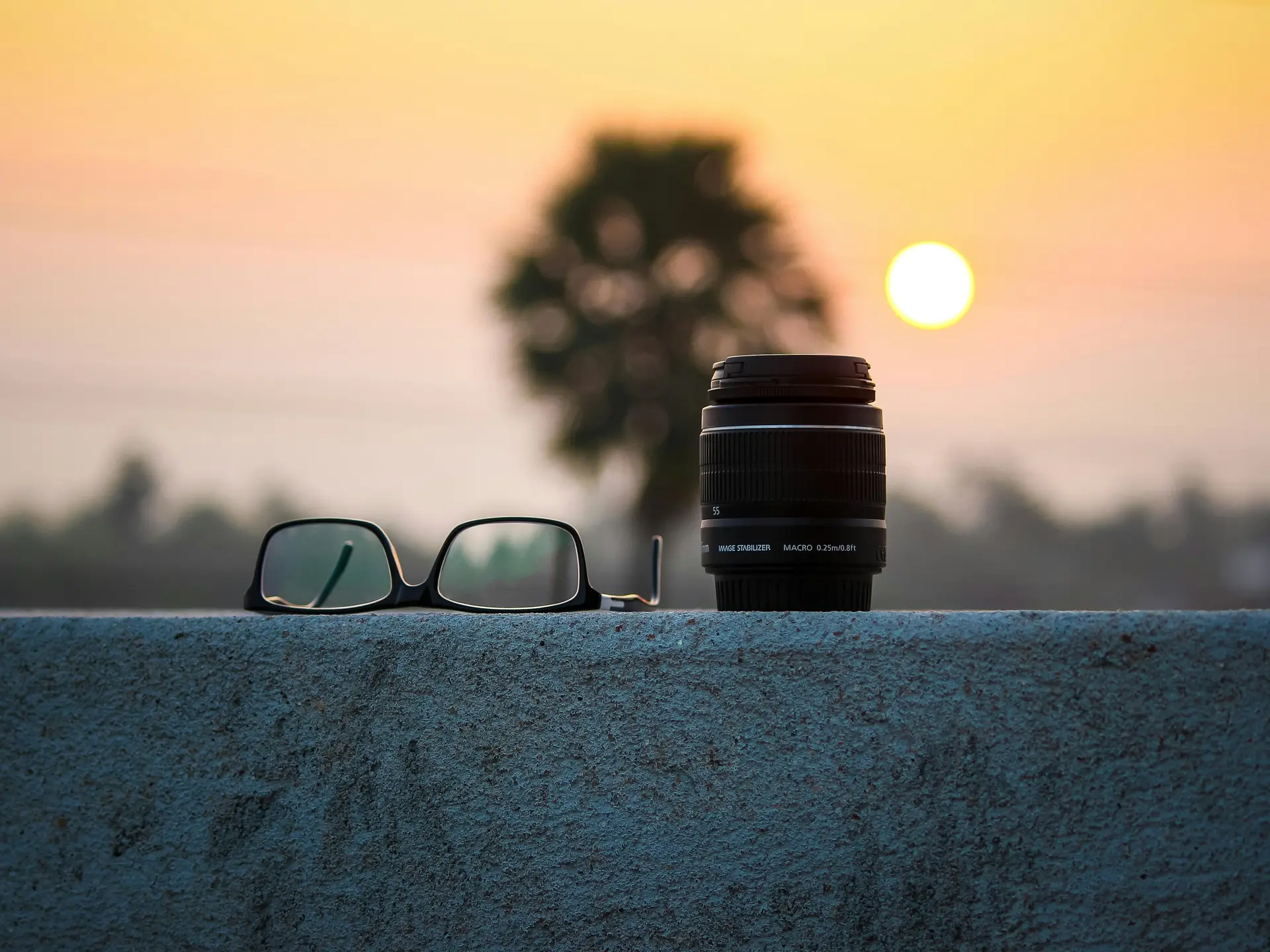 pexels-pankajbiswas-57542