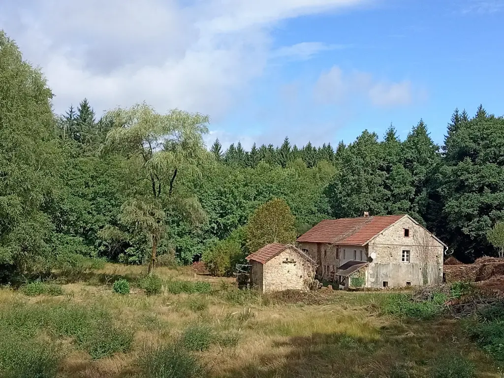 photo jep jabreilles