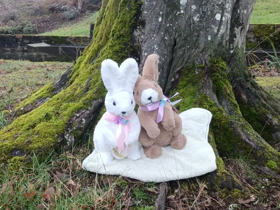 Chasse aux oeufs CG87 2026