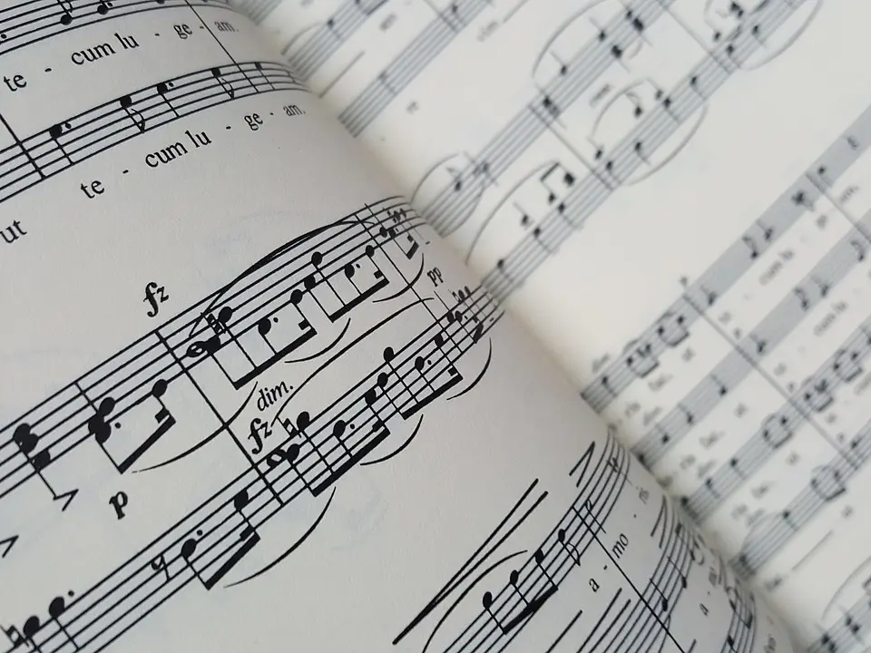 pusteblume0815-grades-3320006_1280