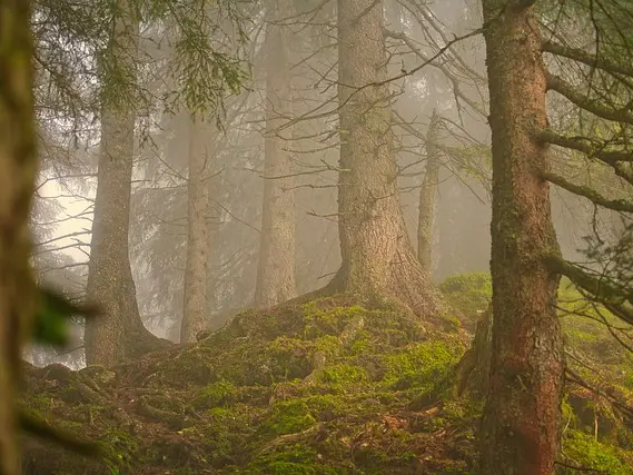 rallye nature