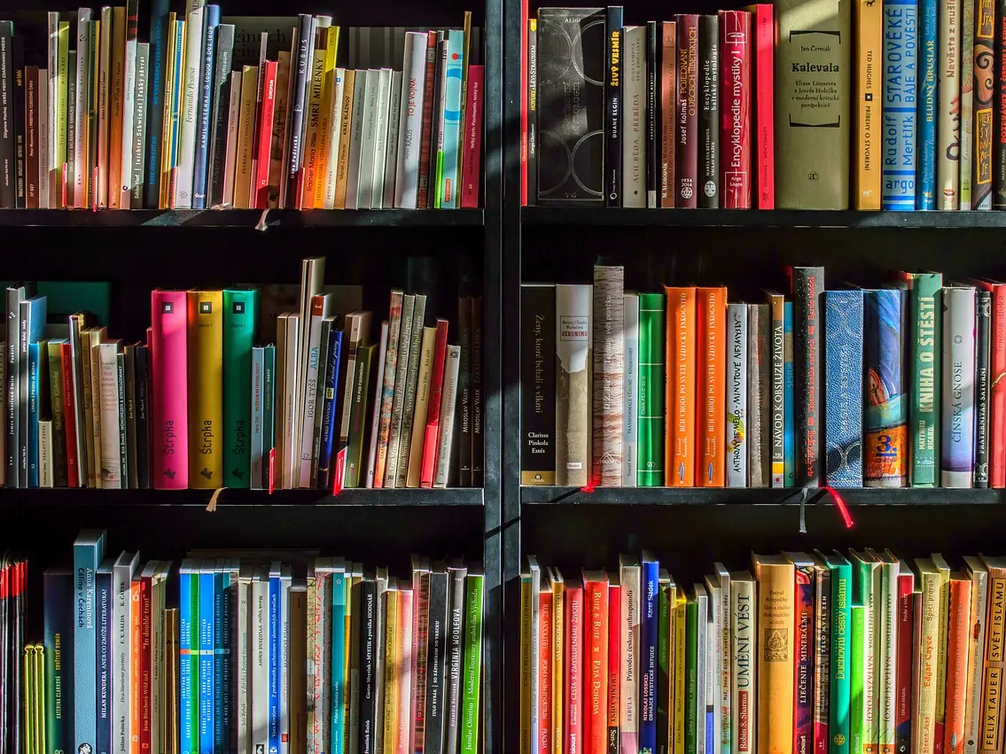 reseau-des-mediatheques©LubosHouska