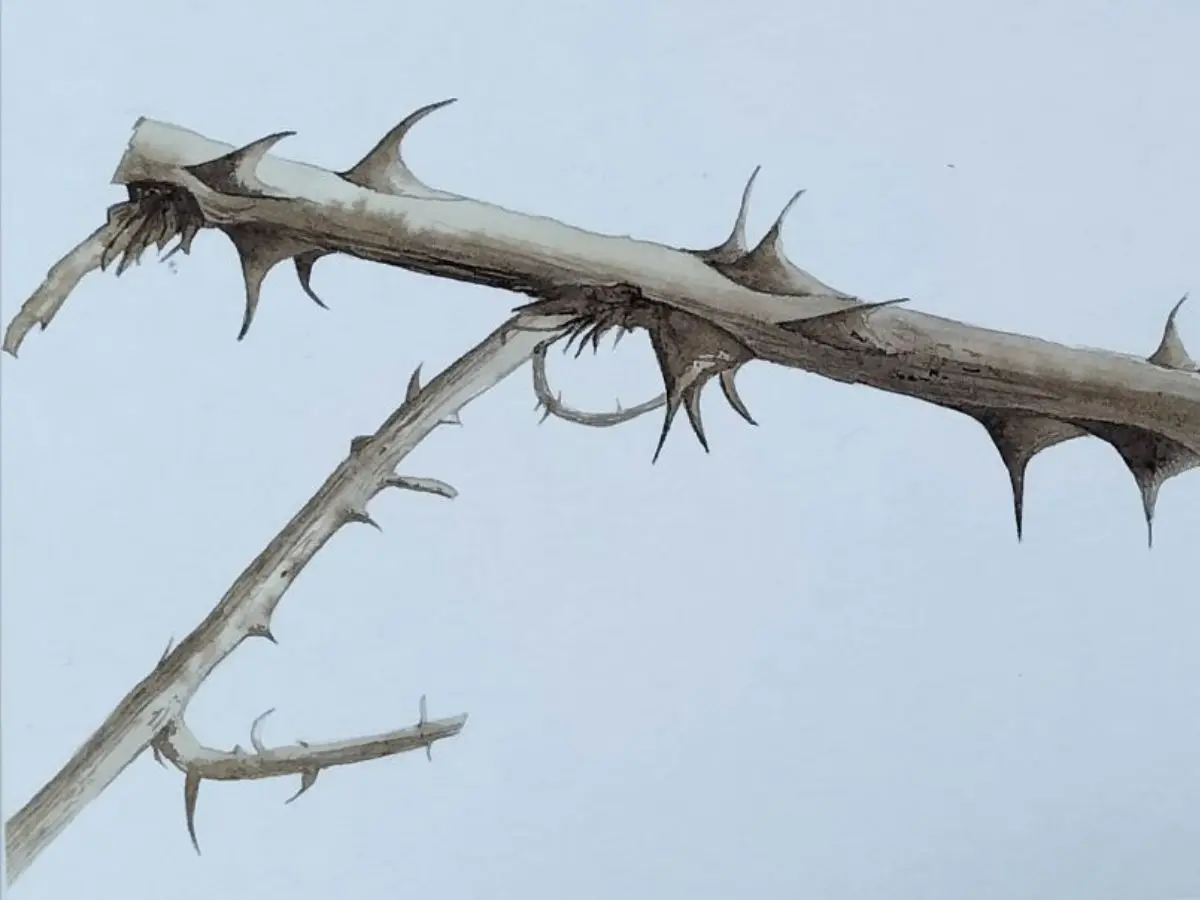 Exposition - Les murmures du vivant - Nexon