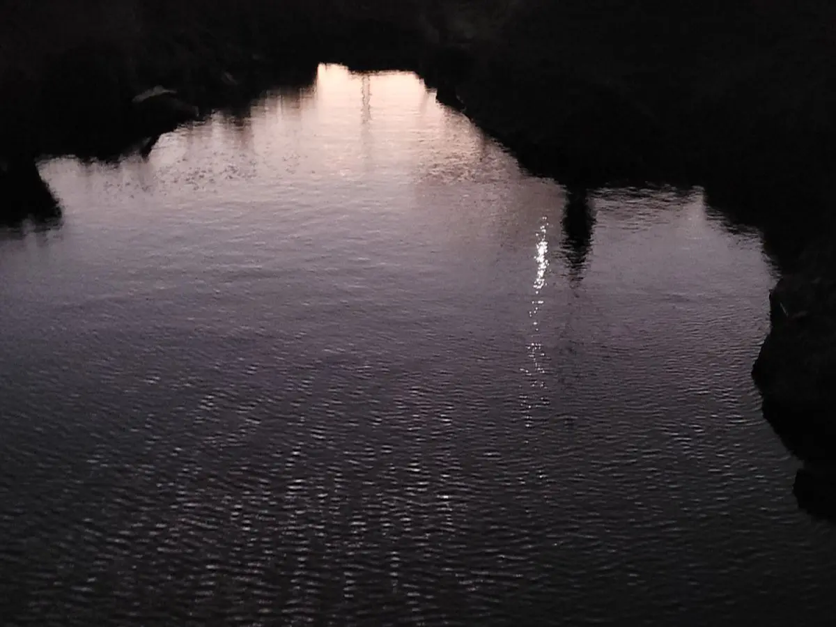 Exposition - Une Part de la Nuit - Nexon 2026