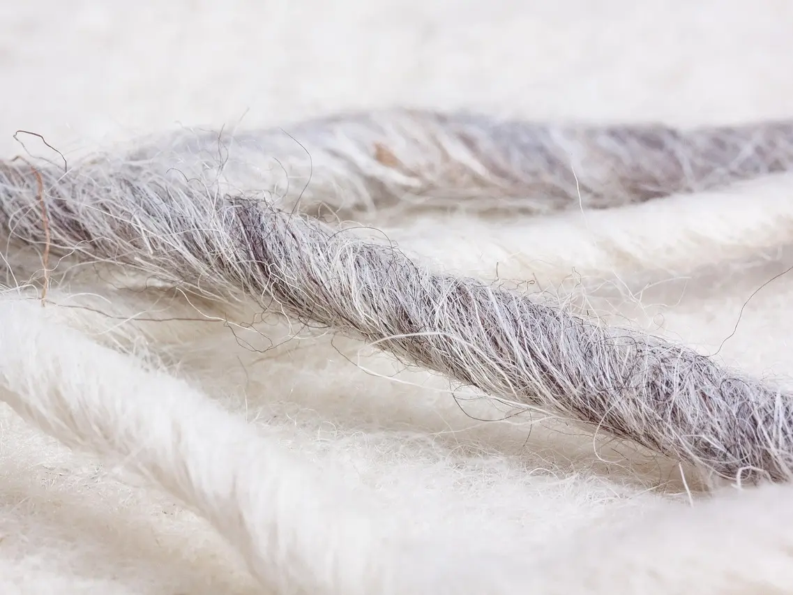 sheep-wool-5