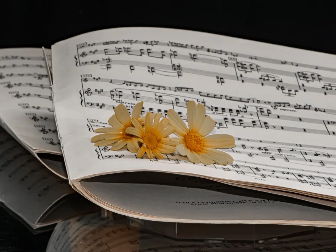 sheet-music (2)
