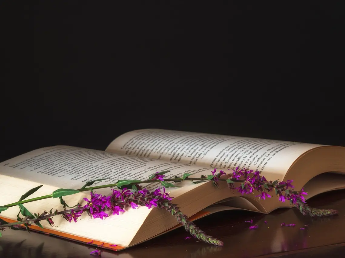 Lectures avec Les Amis des mots