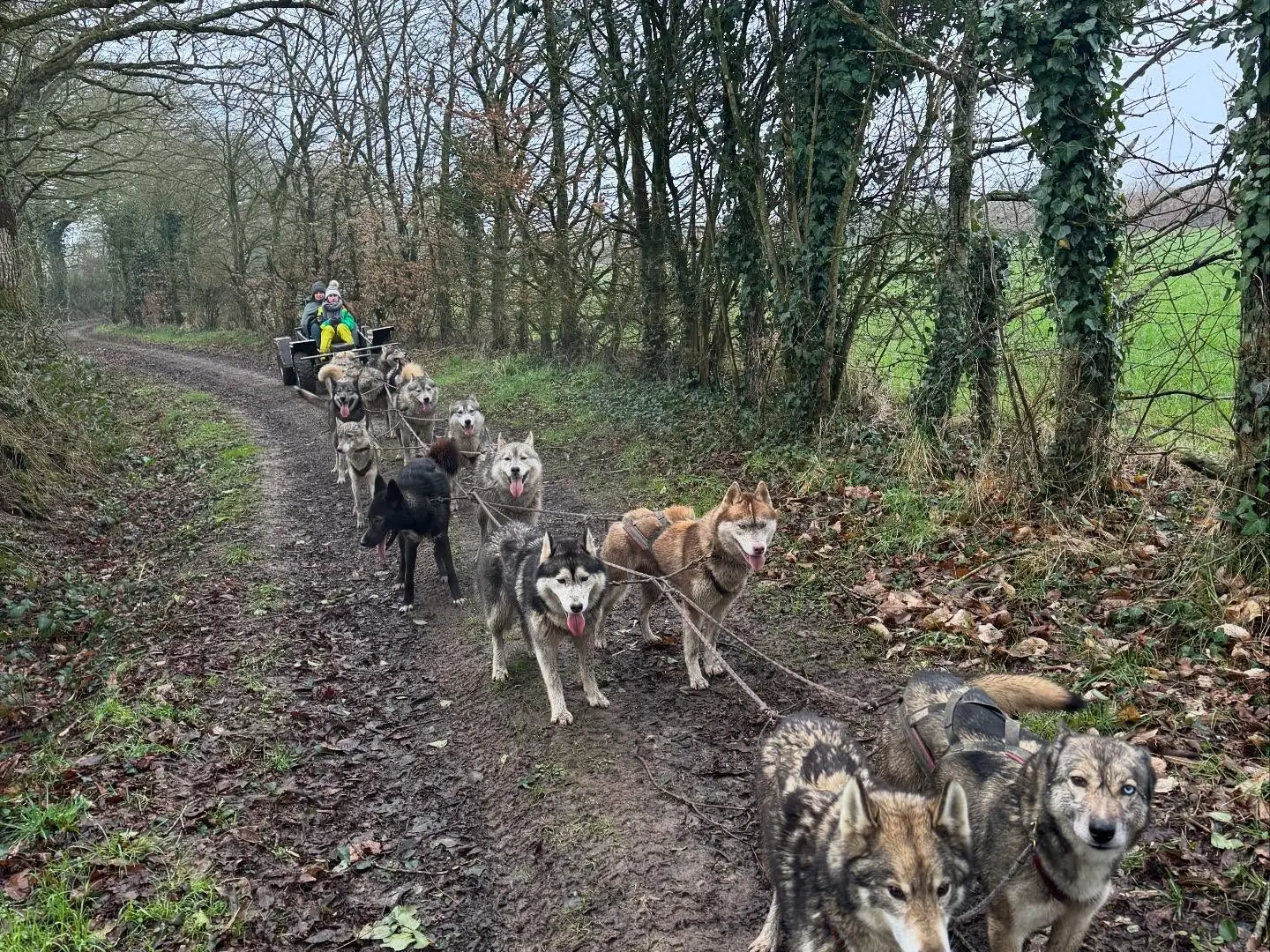 479707014_17961743936853152_3520149707433550651_n