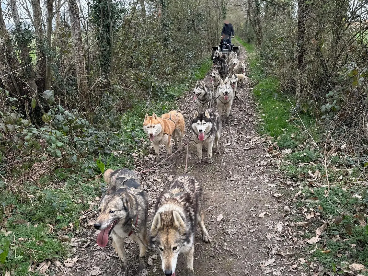 486705629_17965771826853152_3924178791761646754_n