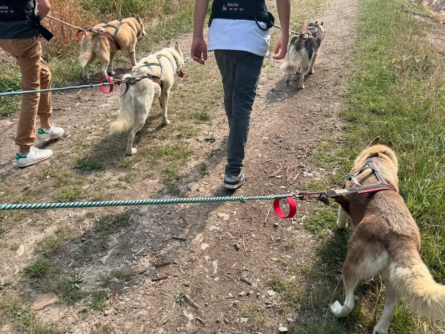 534199432_17981228288853152_709718032799606425_n