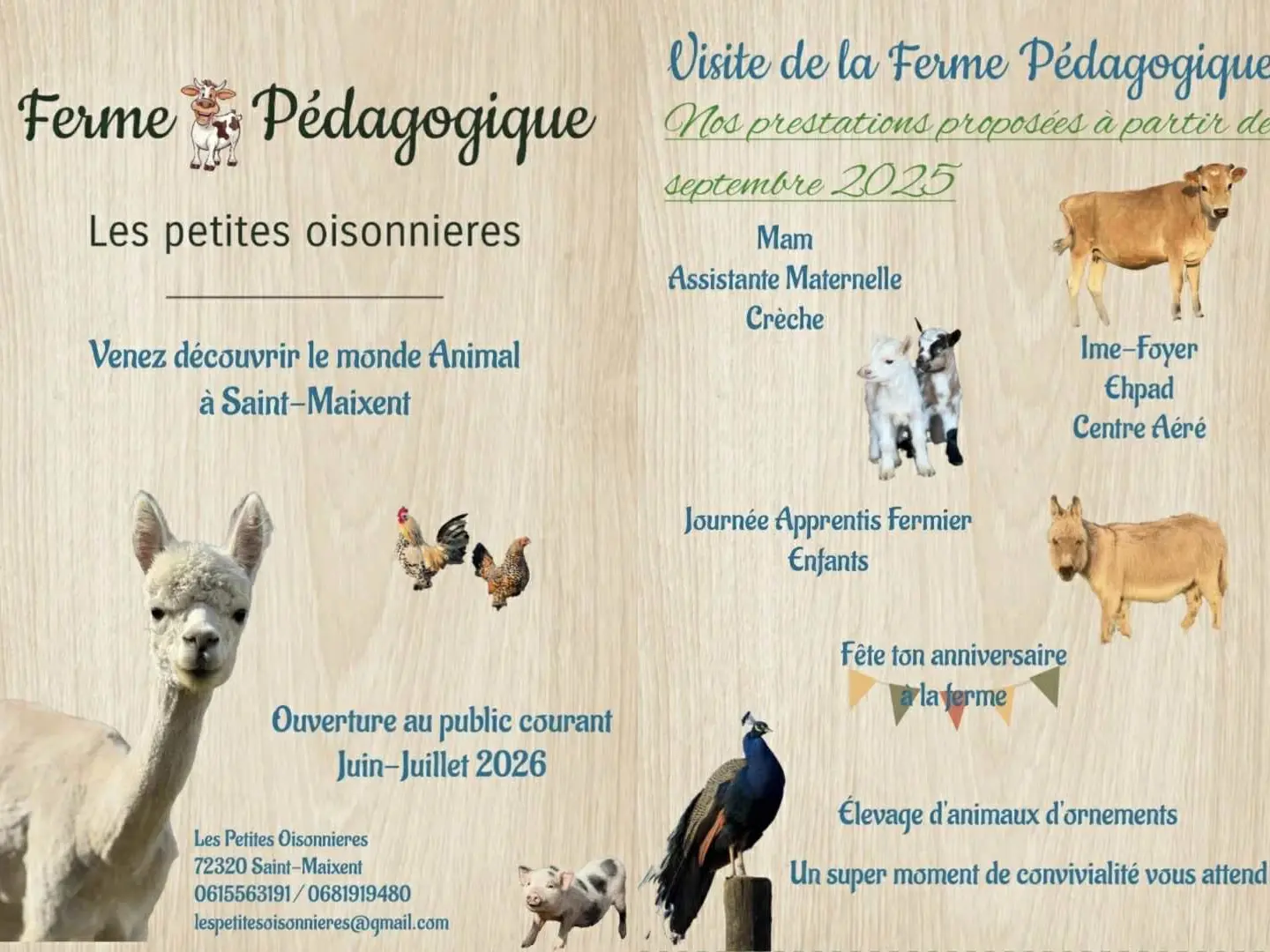 571176768_1132930458963789_5103565720021333922_n