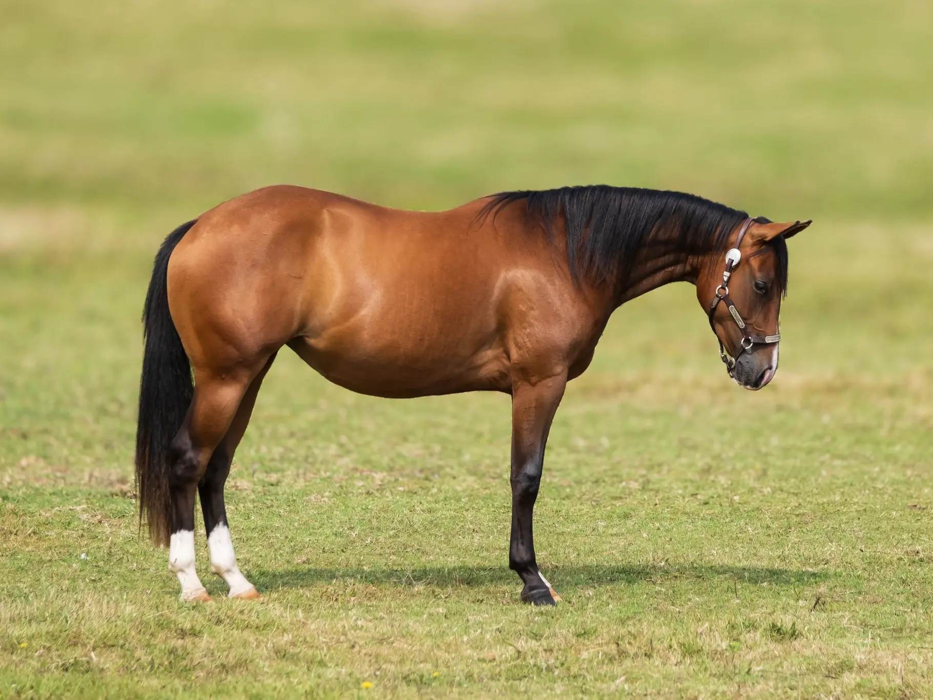 580780762_1599834844324548_8110119590931041965_n