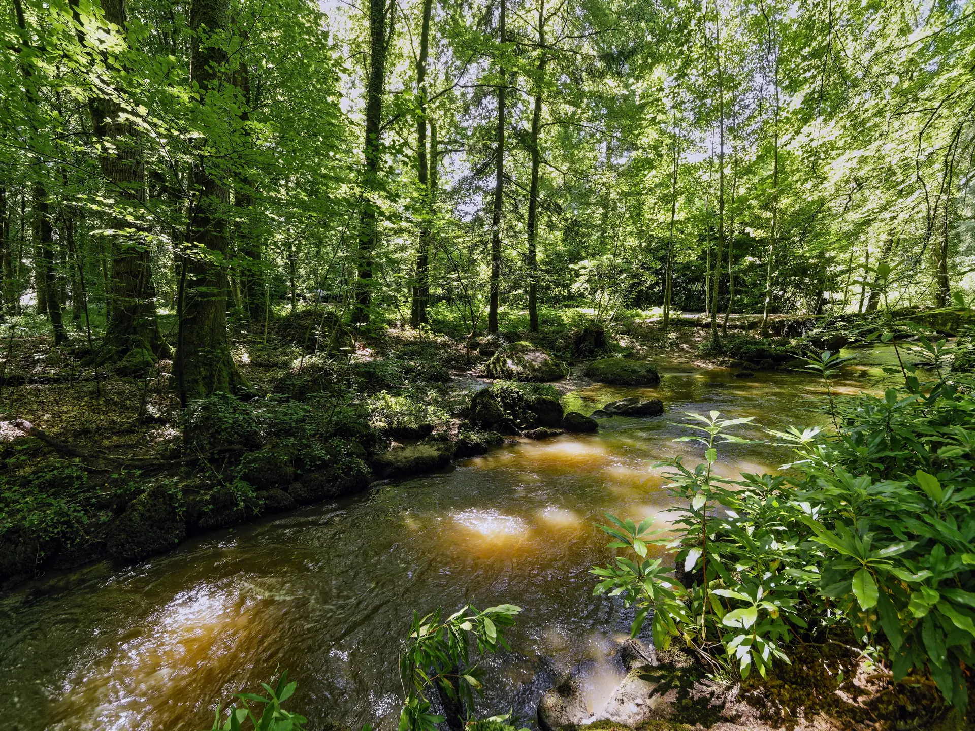 Pontmain randonnee pedestre circuit du chateau de mausson 53