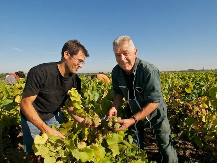 2014GT-domainedelafevrie-maisdonsursevre-44-DEG-1