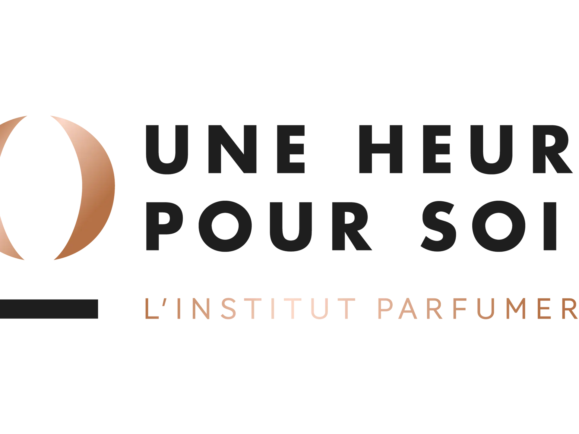 LOGOTYPE-UHPS-DEGRADE-RVB