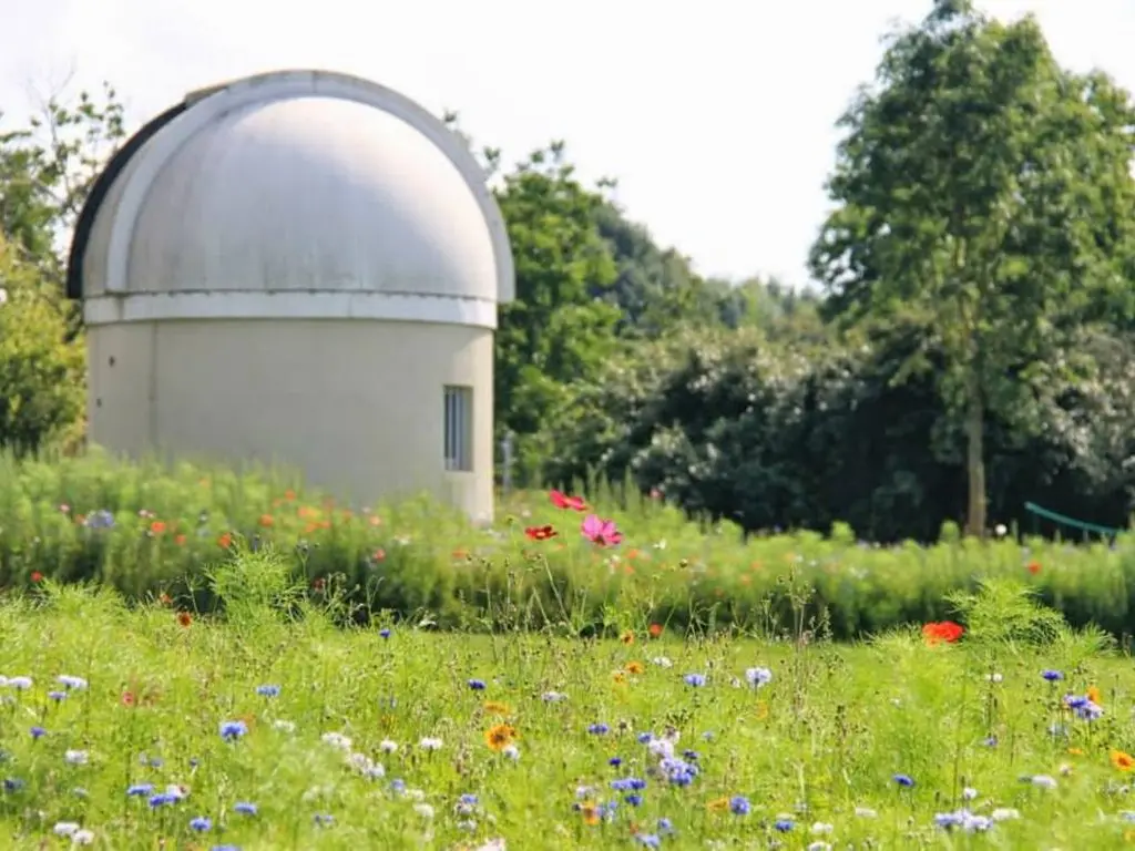 LOI-observatoire-M53-03