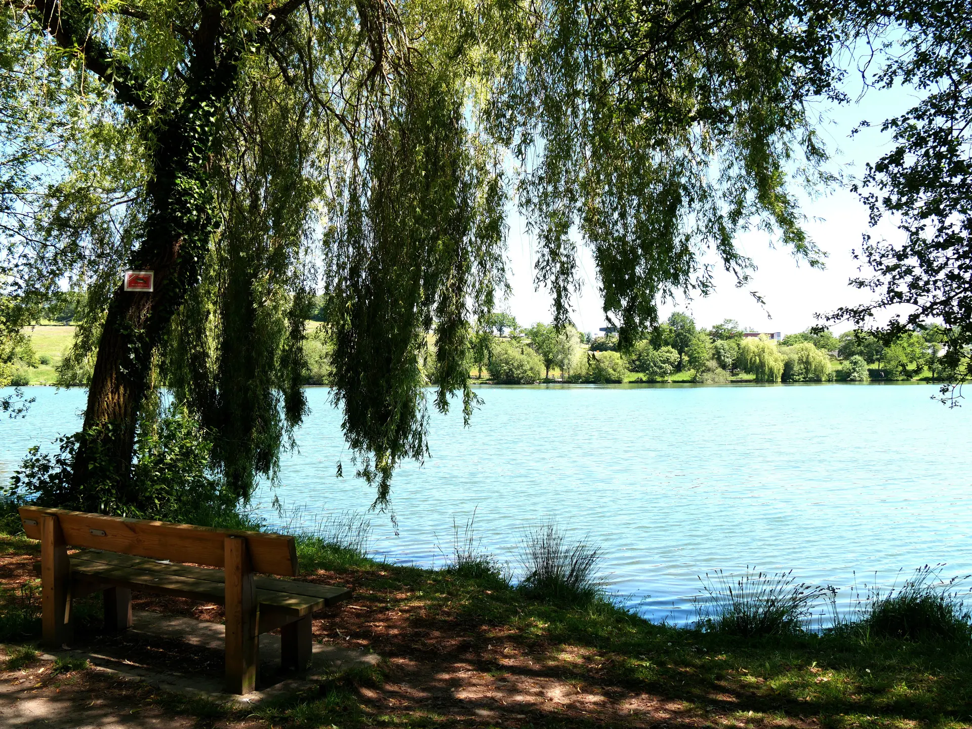 Plan d'eau Changé 2021 4 ©Marjorie Baron