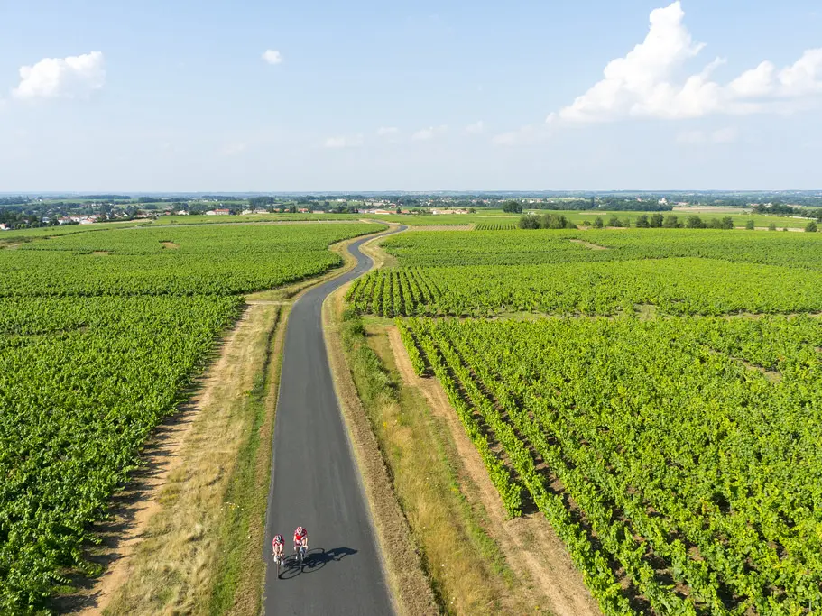 boucle-le-voyage-dans-le-vignoble-levignoblenantes-tourisme