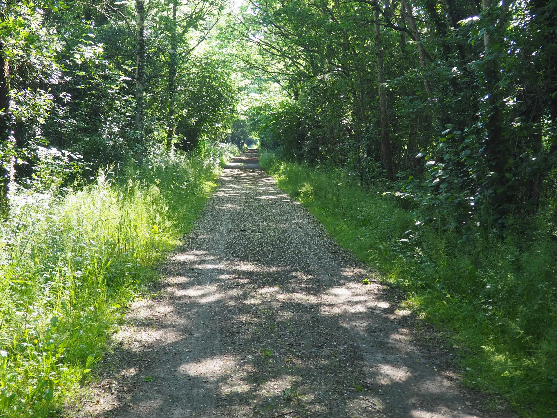 chemin-circuit-danthenaise