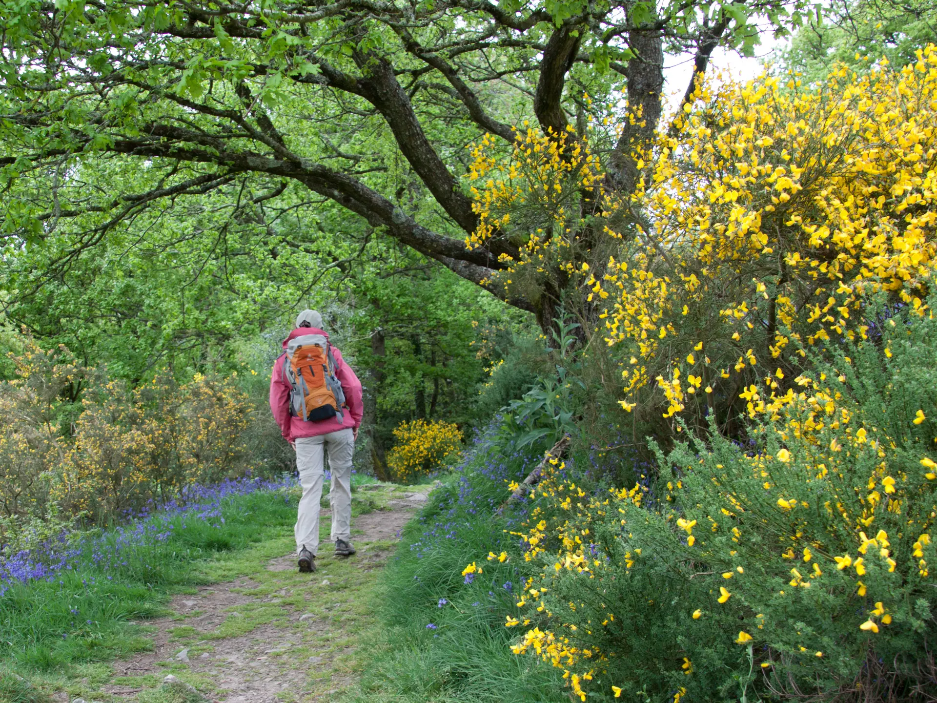 Randonneuse à Saint-Léonard-des-Bois