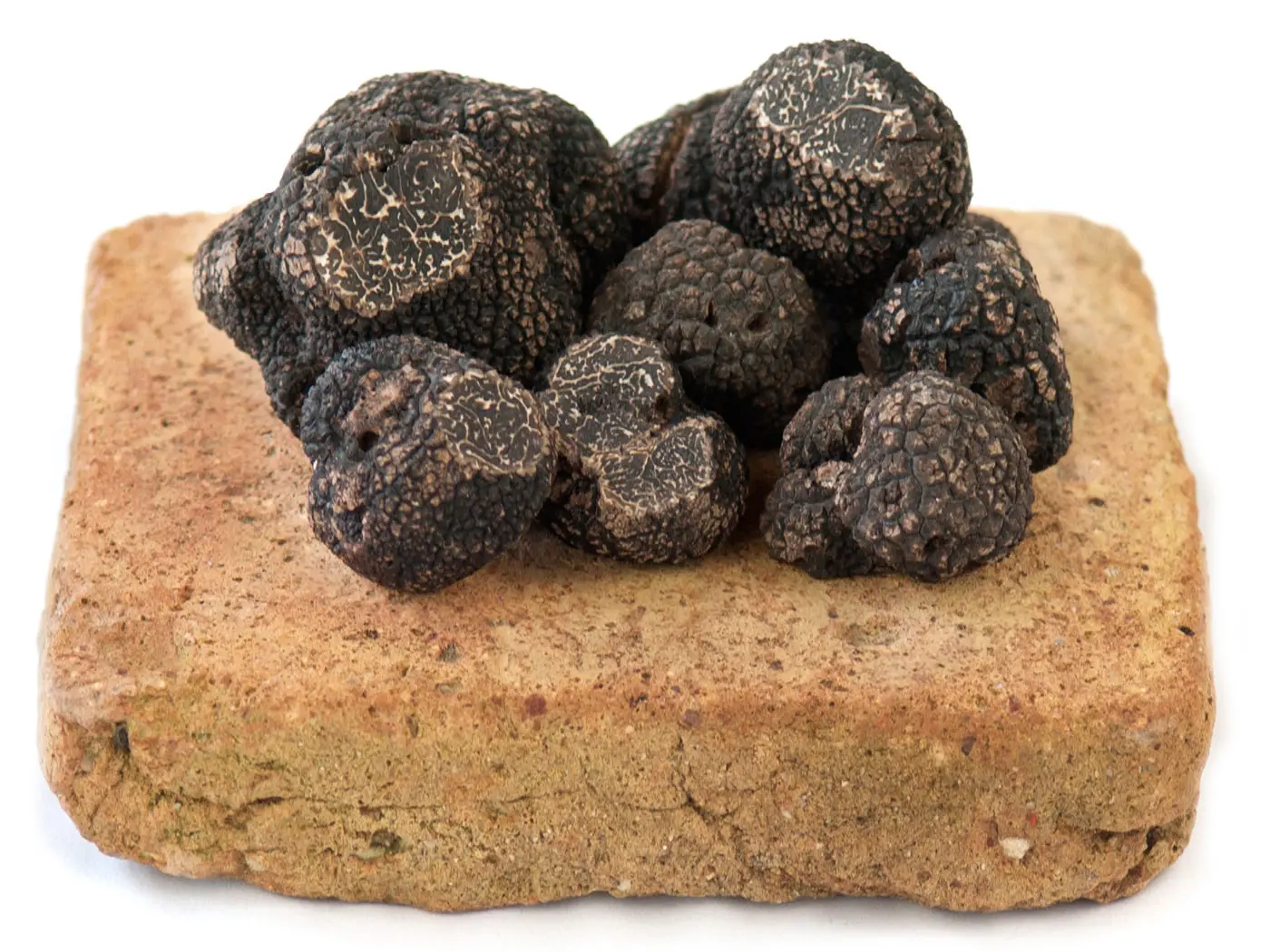 Truffes