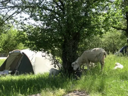 Ferme en Paille Gramat