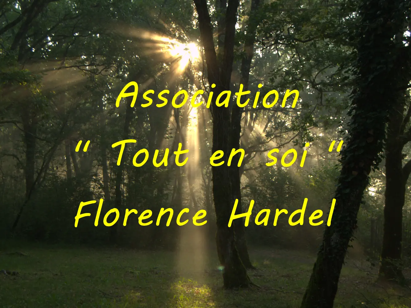 Hubert Hardel