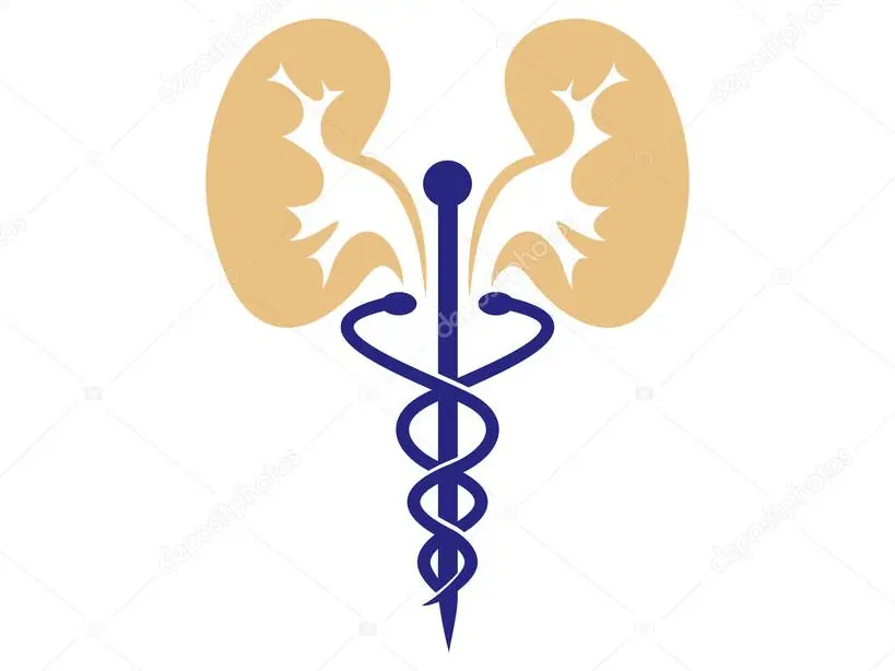 Logo Néphrologue