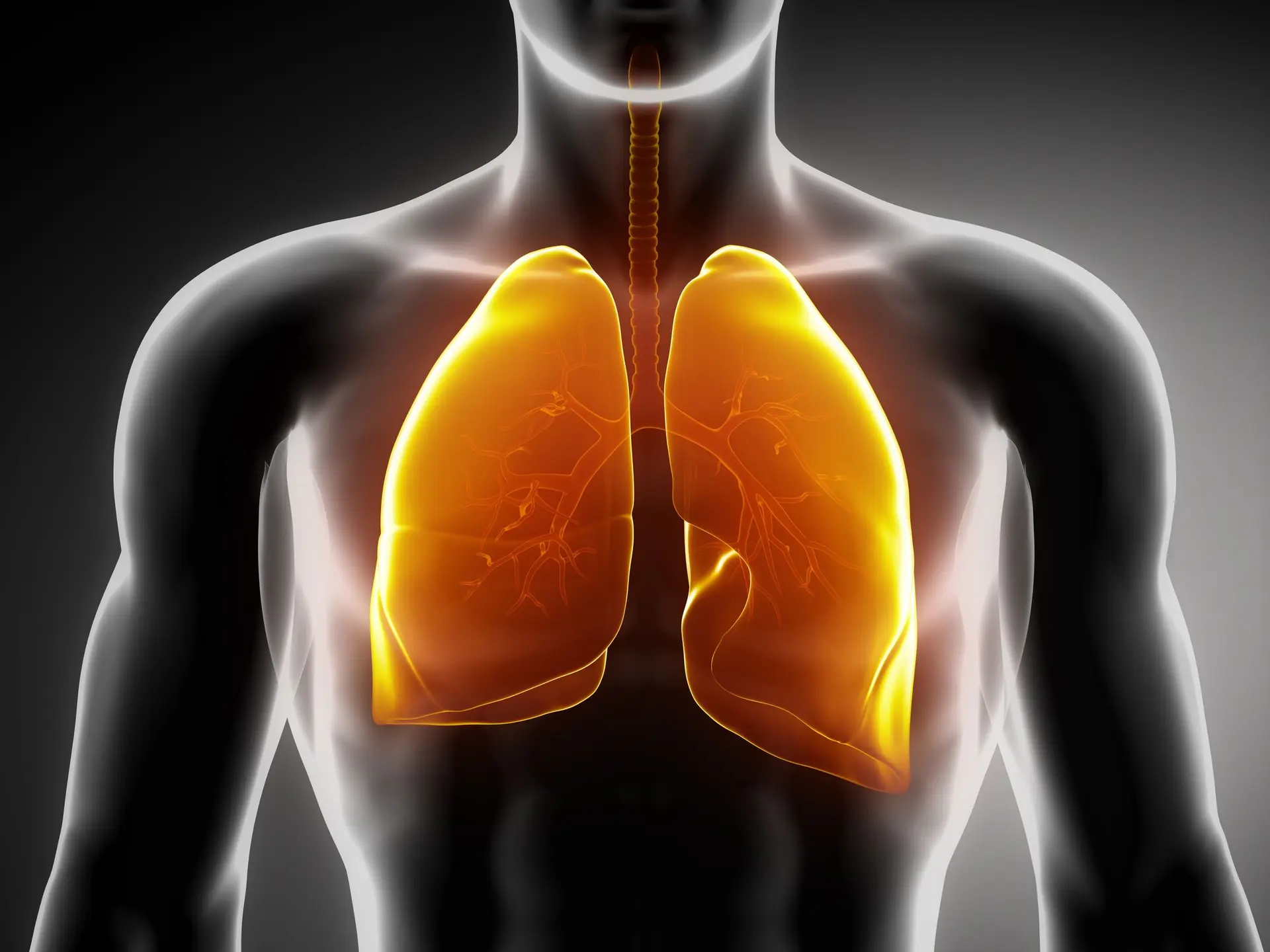 Pneumologie