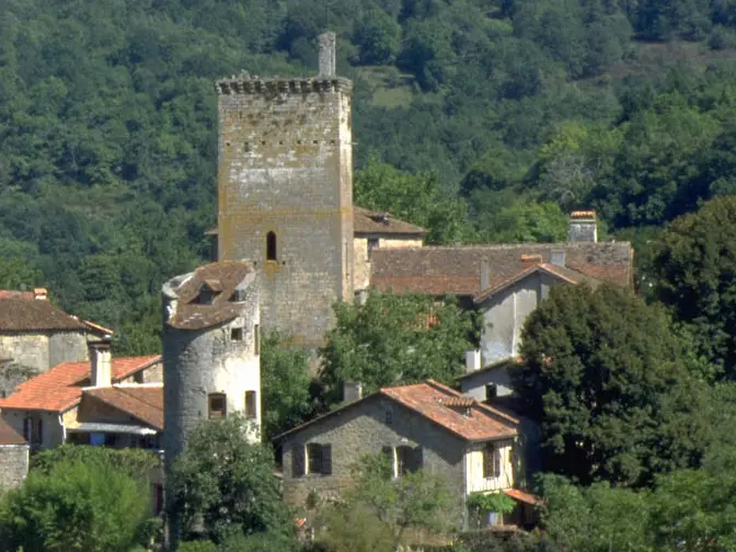 Vestiges du Fort médiéval à cardaillac