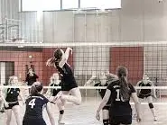 Volley 2
