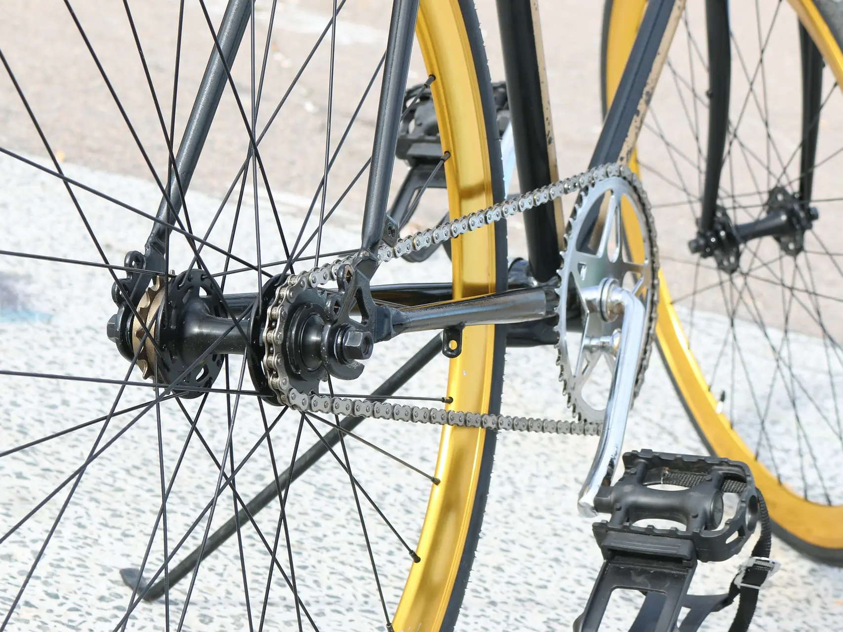 bicycle-557046-1920