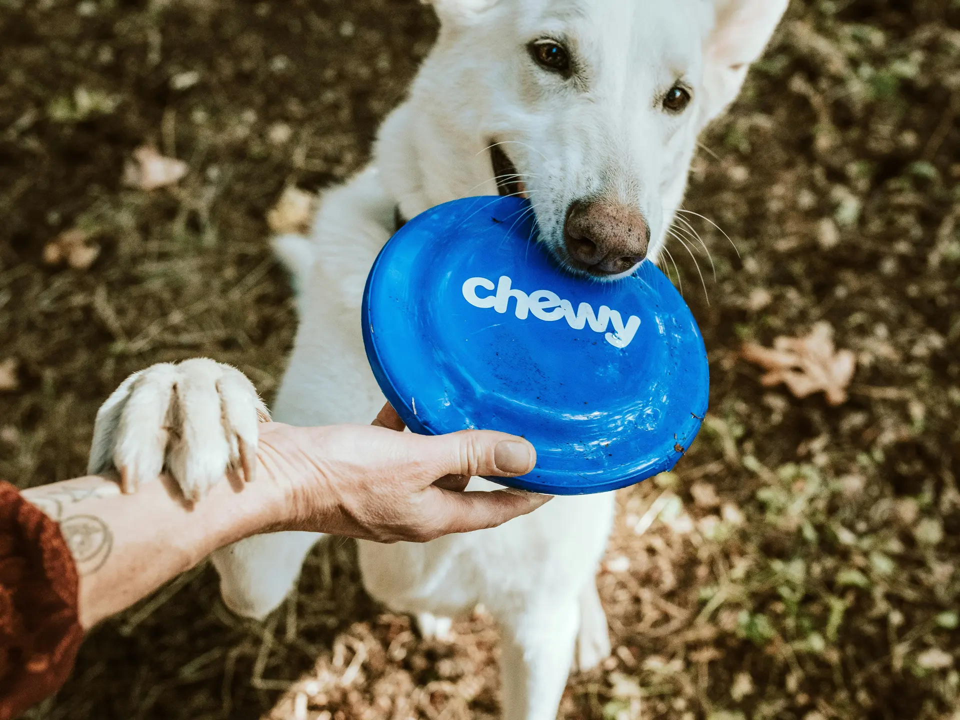 Photo d'illustration