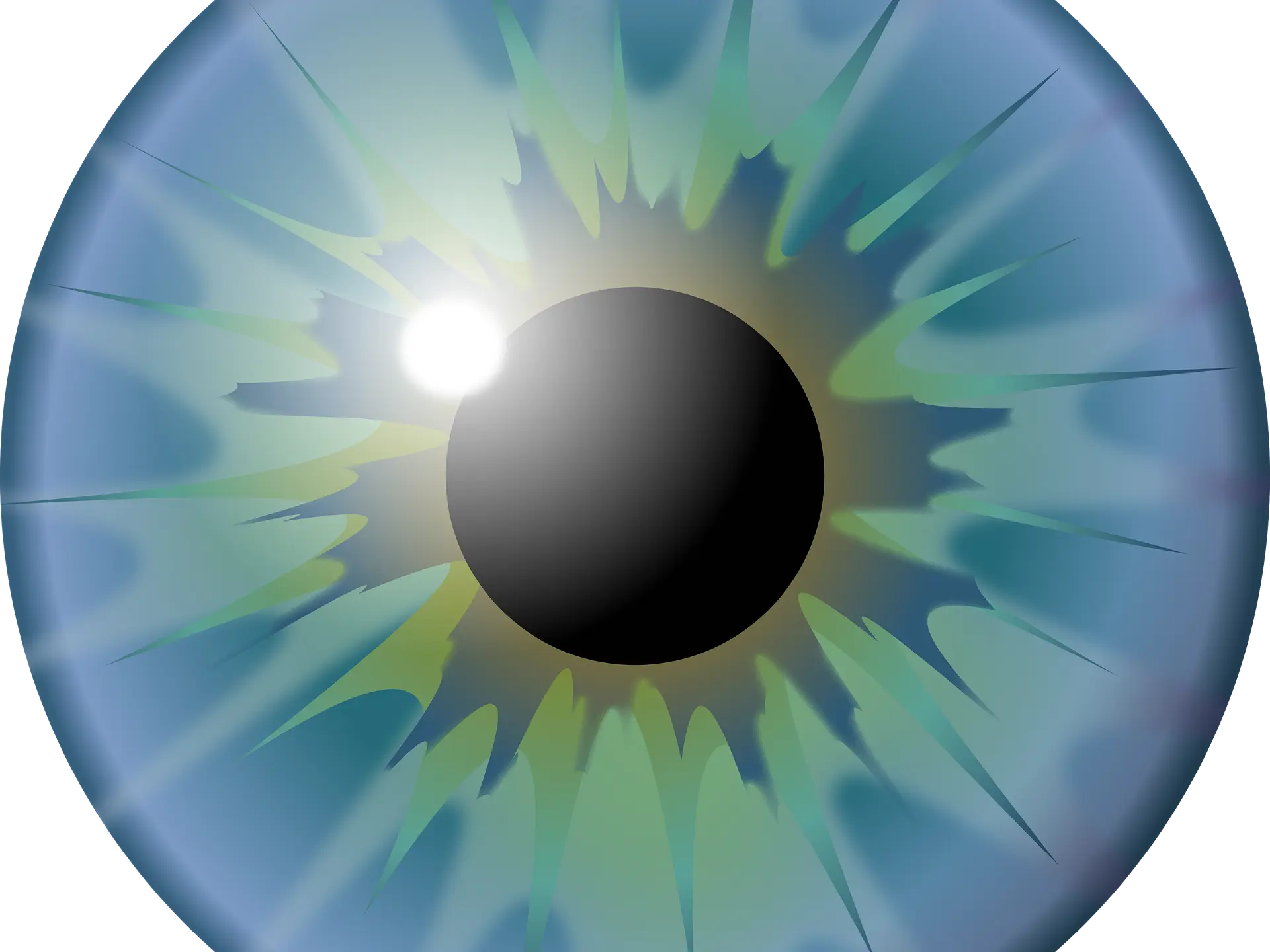 eye-3692767_1920