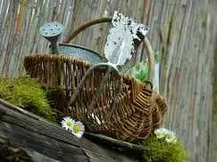 jardinage