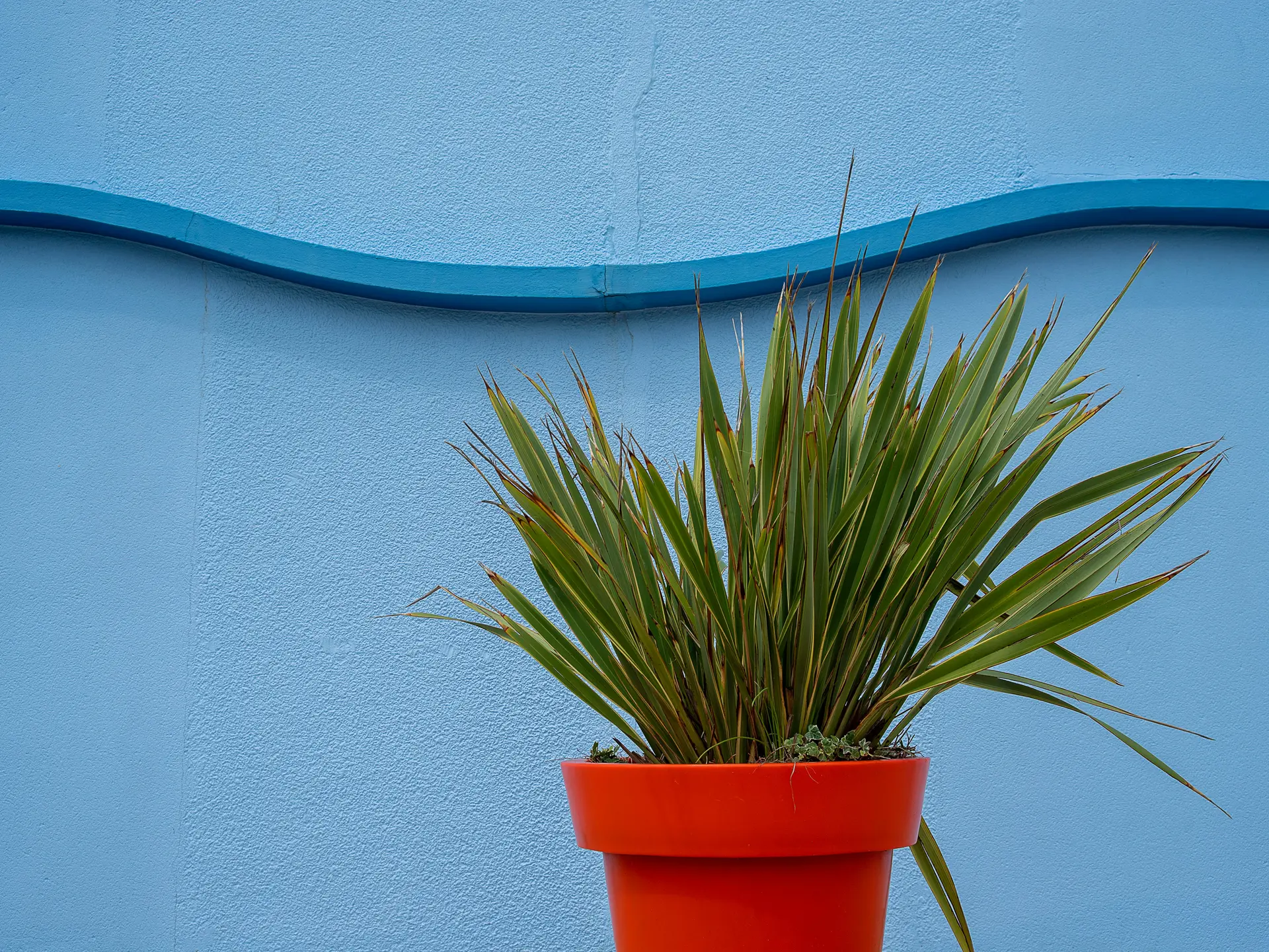 pexels-jan-van-der-wolf-11680885-34969446