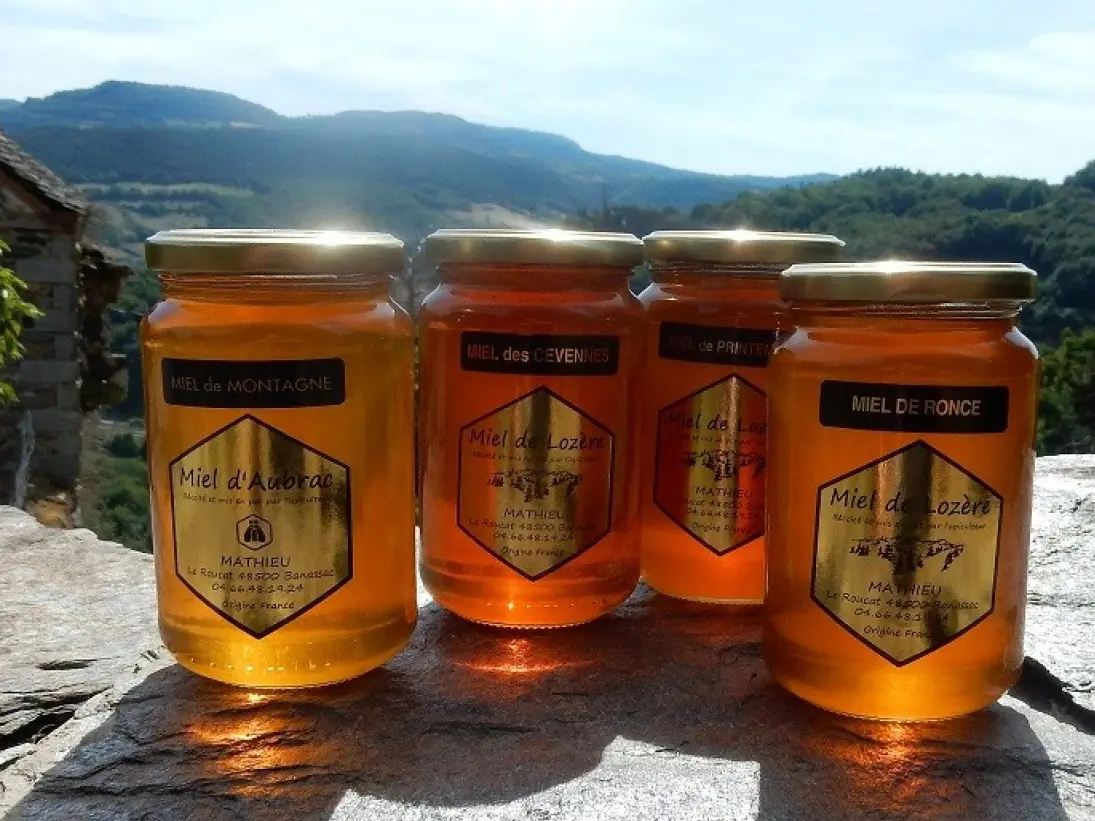 Miel de Lozère