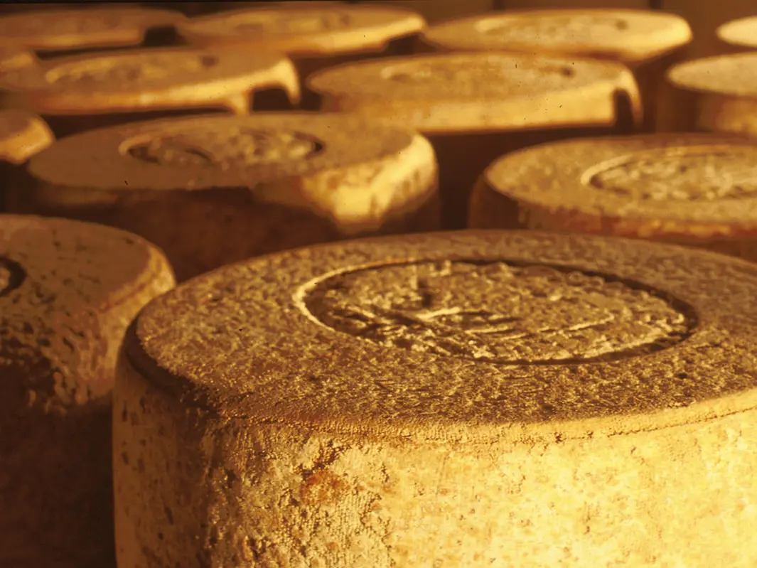 Jeune Montagne Coopérative Fromagère