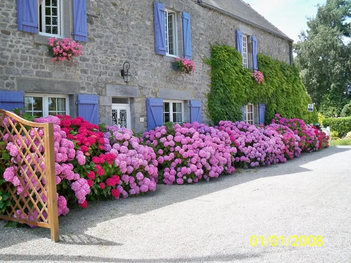 0-bricqueville-sur-mer-ch-leguevel