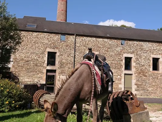 Ane devant Moulin - OT du Mortainais