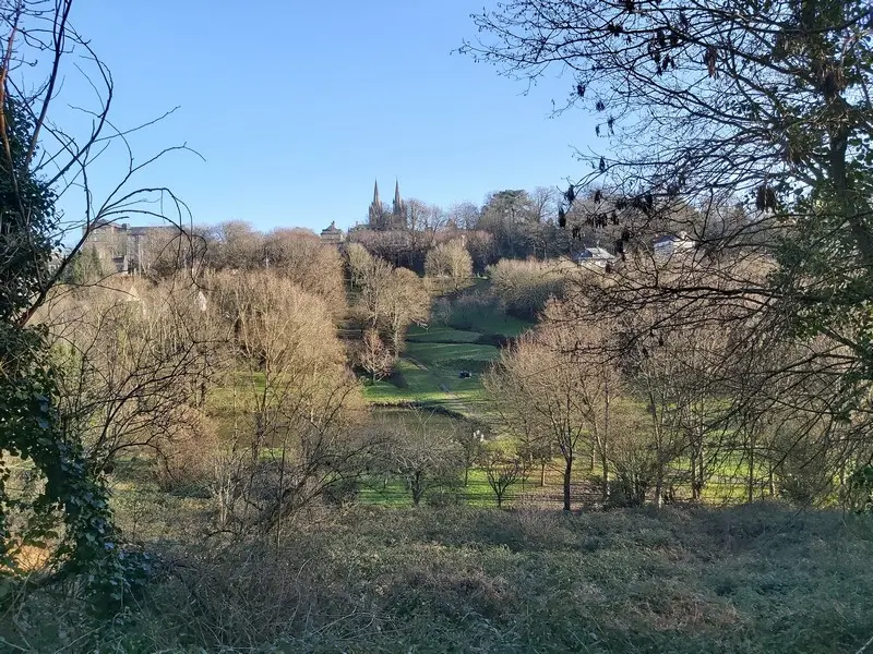 Etang Bulsar - Bois des vignettes (3)