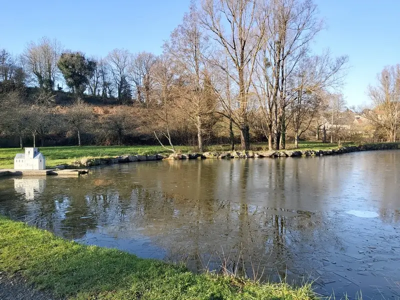 Etang Bulsar - Bois vignettes