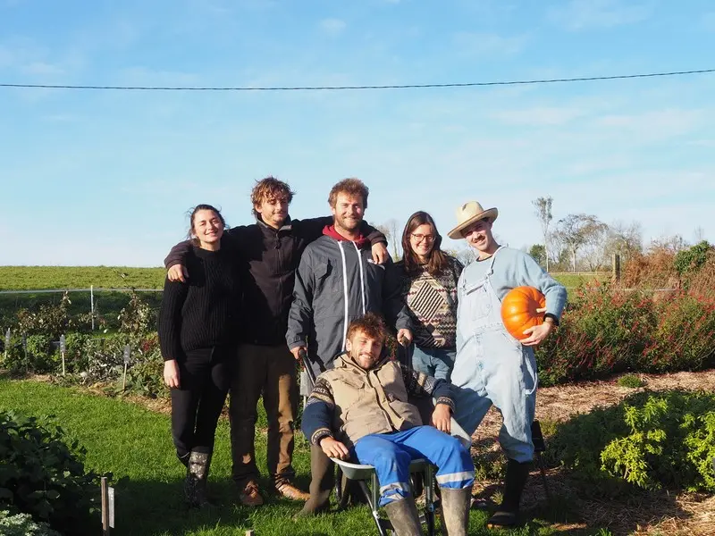 commerce courcy ferme de la mouvette