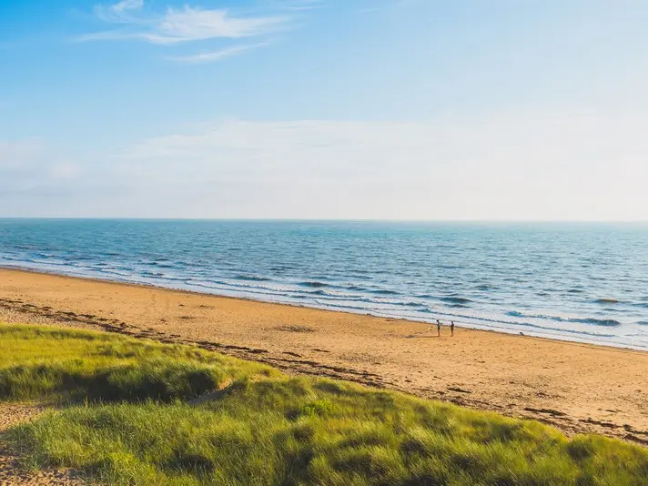 dunes d'Annoville ©Teddy Bear photos -Coutances tourisme