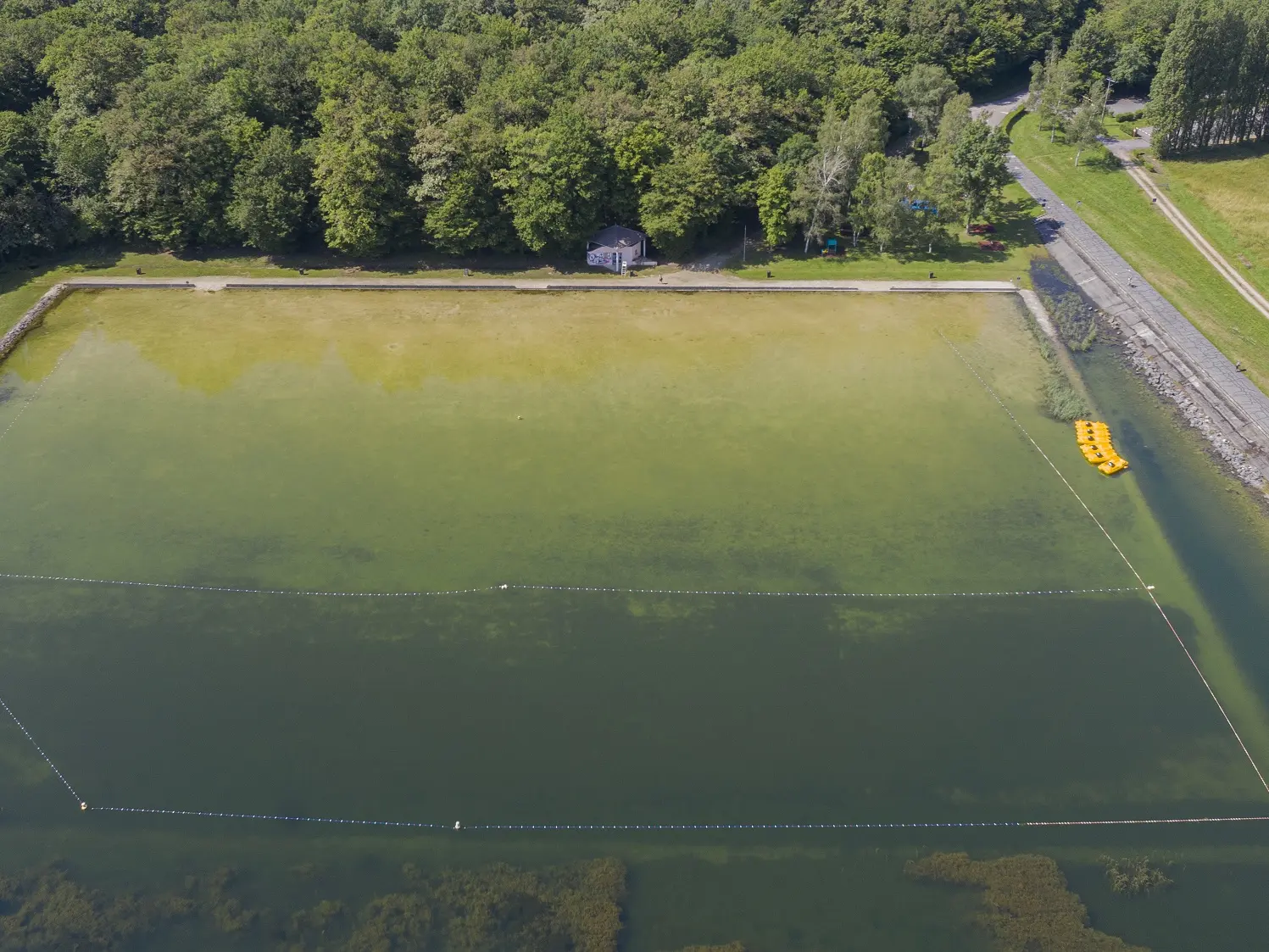 Plage presqu'île de Larzicourt - Lac du Der en Champage