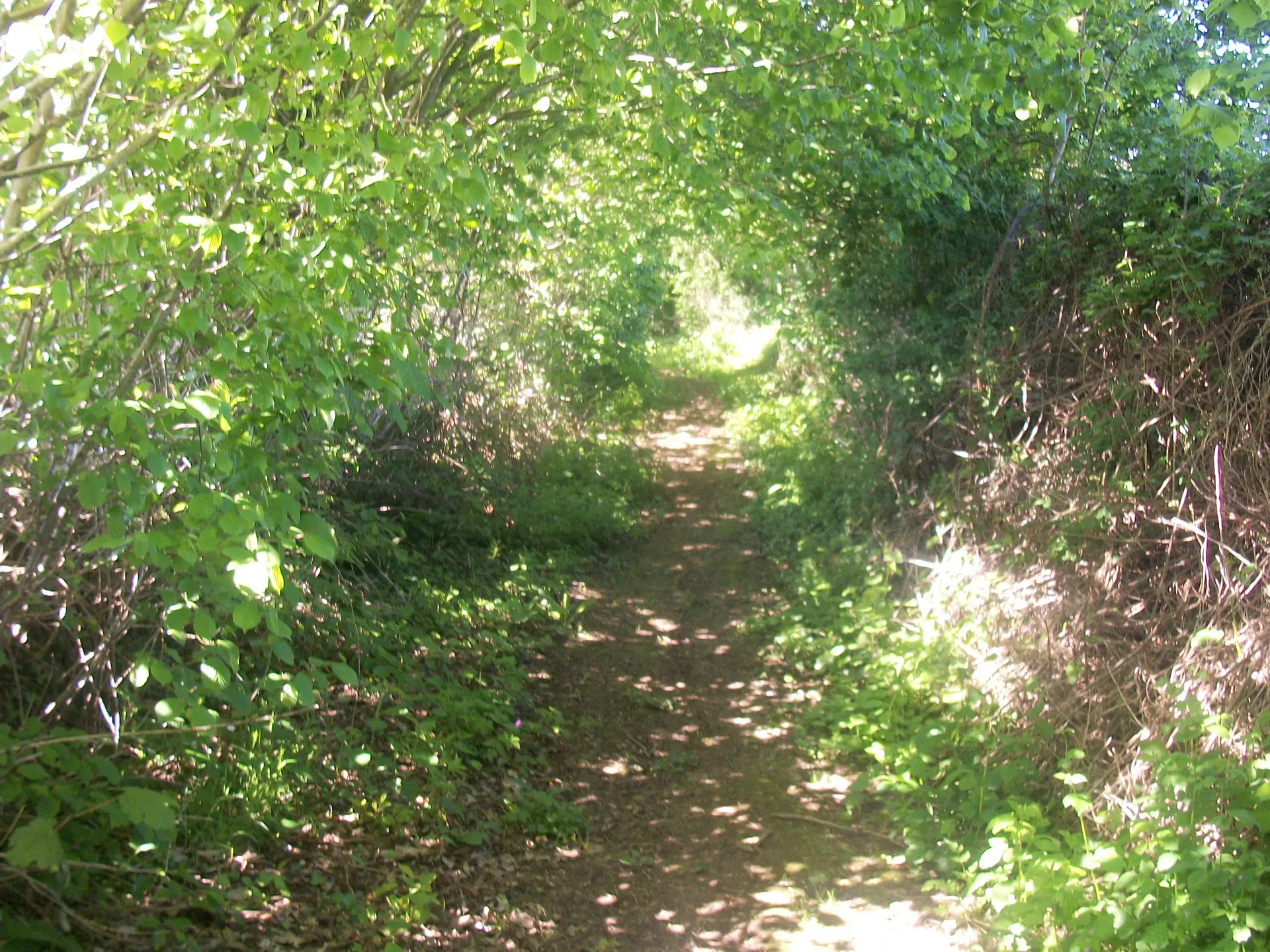 LA CHAPELLE AU RIBOUL - SENTIER DU GUÉ MARIE