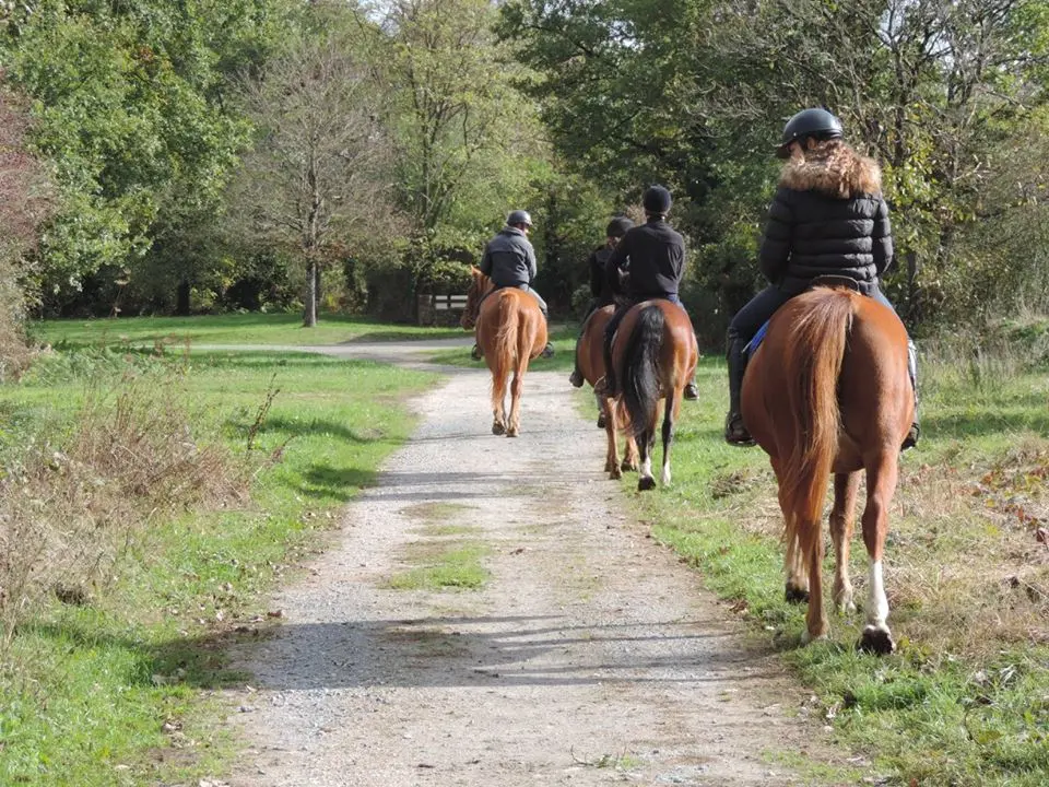 2-Poney-Club du Gué de selle