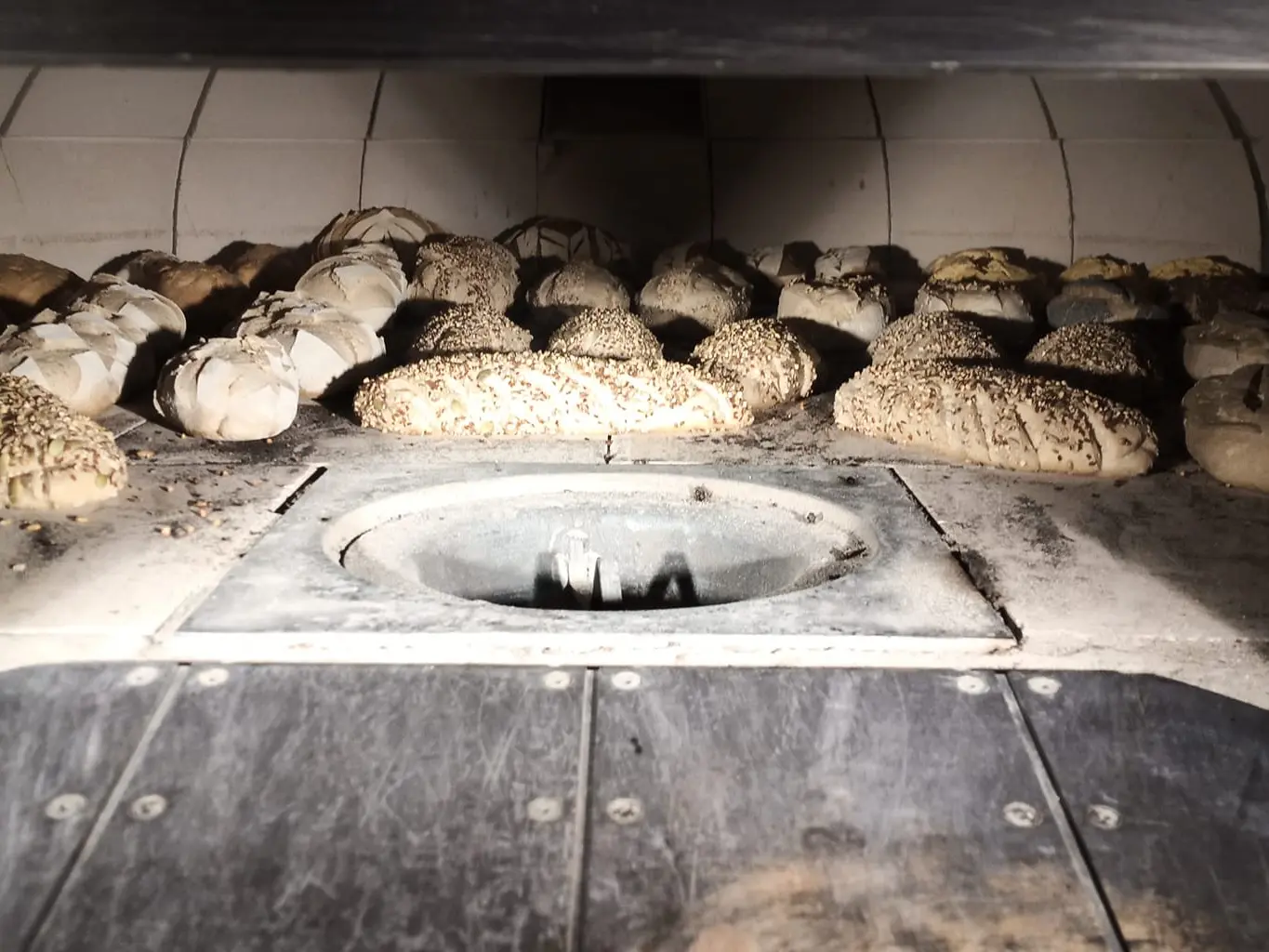 La Patte du talemelier à St Pierre- Orthe